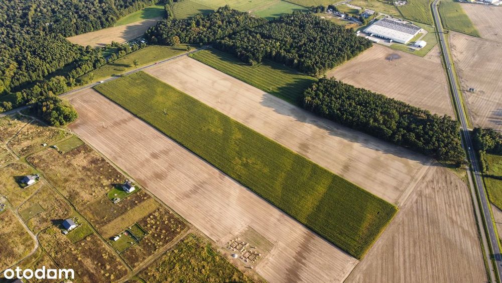 Działki budowlane Zbrudzewo k/Śremu - Widok 4