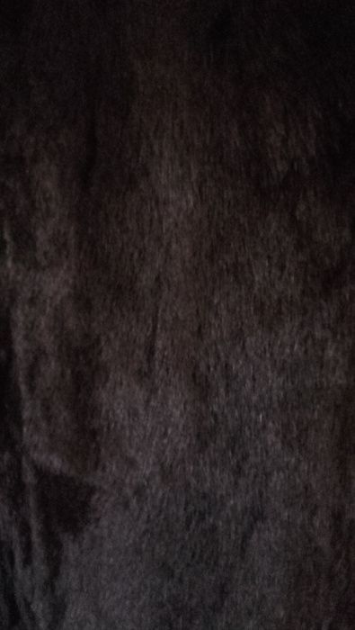 TOP- vison dourado e coelho preto alta qualidade BAIXA PREÇO