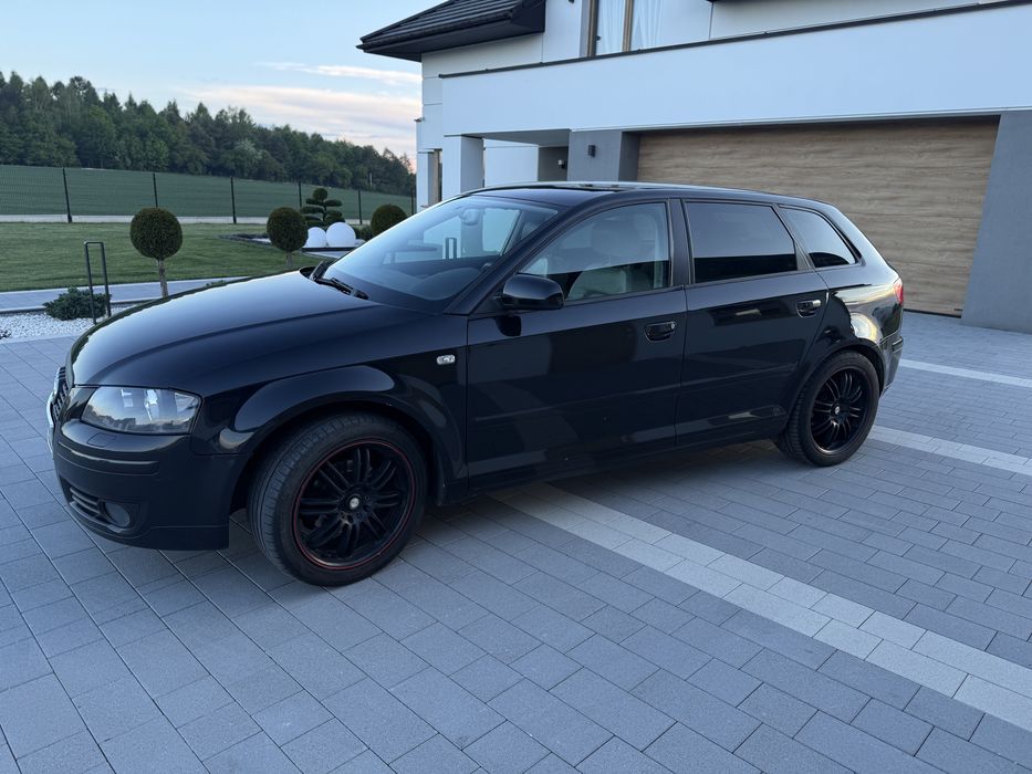 Audi A3 8P 1.9TDI 105km