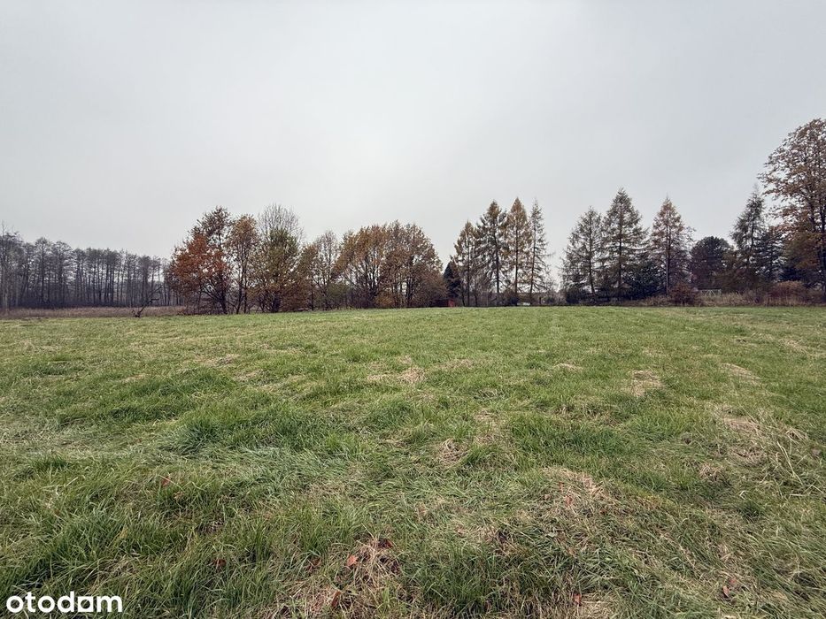 Działka budowlana 5012 m² - MPZP, spokojna okolica, udziały w drodze - Widok 3