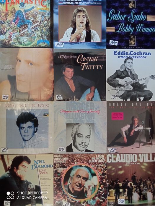 Пластинки виниловые и патефоннные пластинки