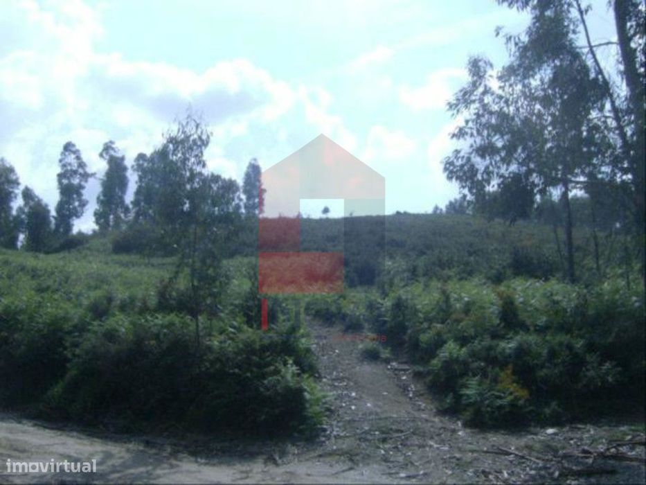 Terreno, Dossãos — Dossãos, Braga