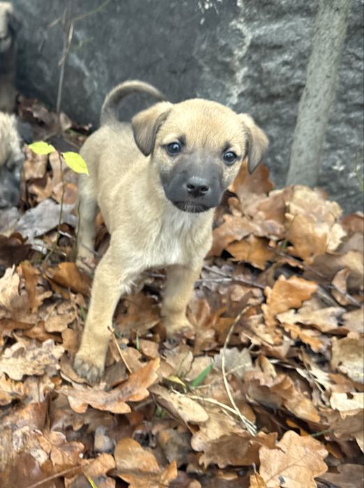 Хлопак, два з половиною місяці