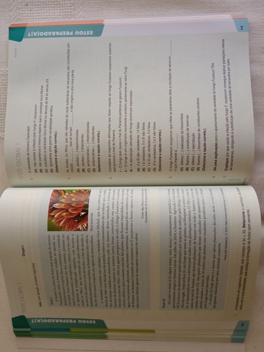 Biologia e Geologia 11 ano