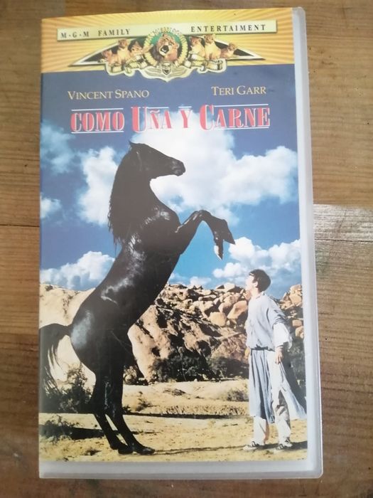 Cassetes VHS diversas64739301476483123