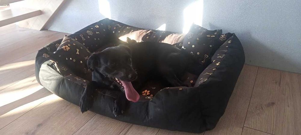 Legowisko Kojec Posłanie Wodoodporne 100x75 Cm Nowe pies kot