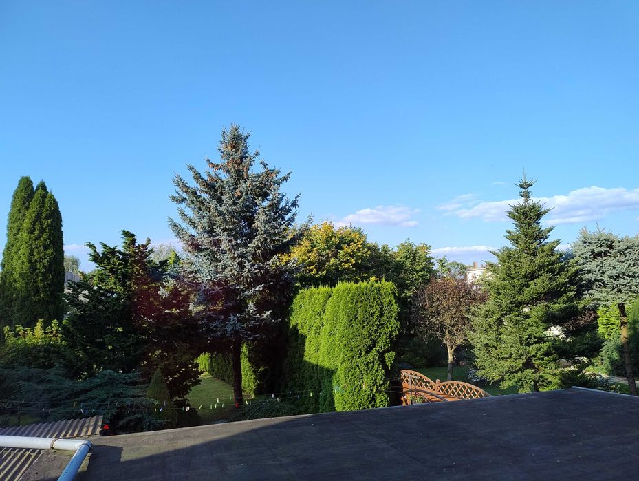 Wynajmę mieszkanie 86m2 w kamienicy w Chojnicach