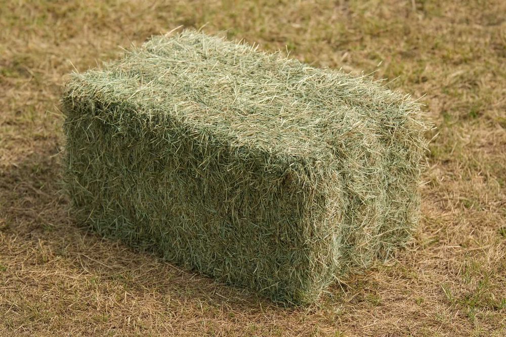 siano kostka dla  królików i gryzoni i na ściółkę pod dachem