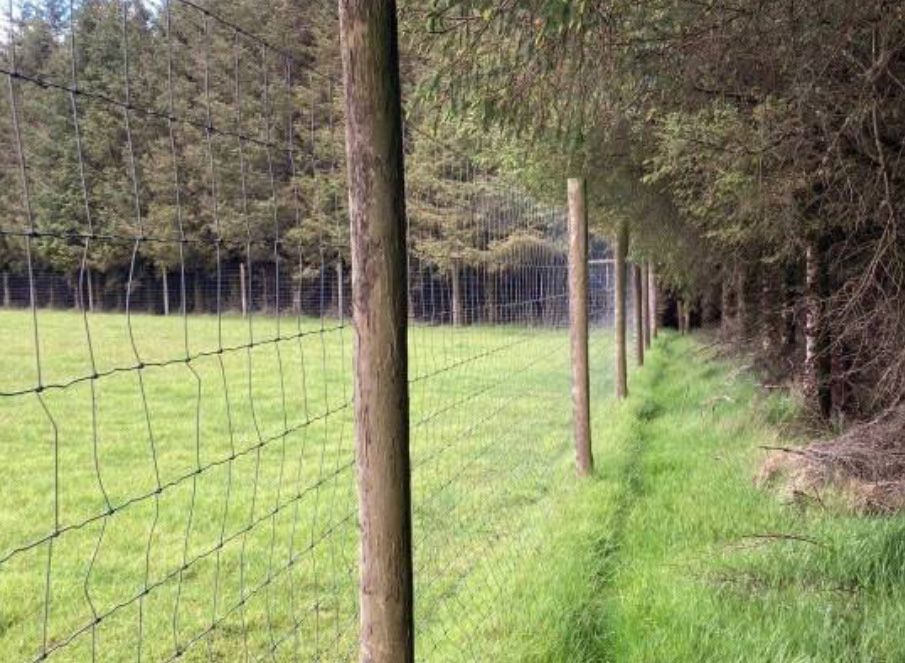 Faszynowanie Przygotowywanie Działki Pod Trawnik Kopanie Stawów Rowów.