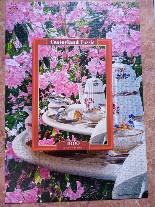 Puzzle Castorland 1000 elementów.