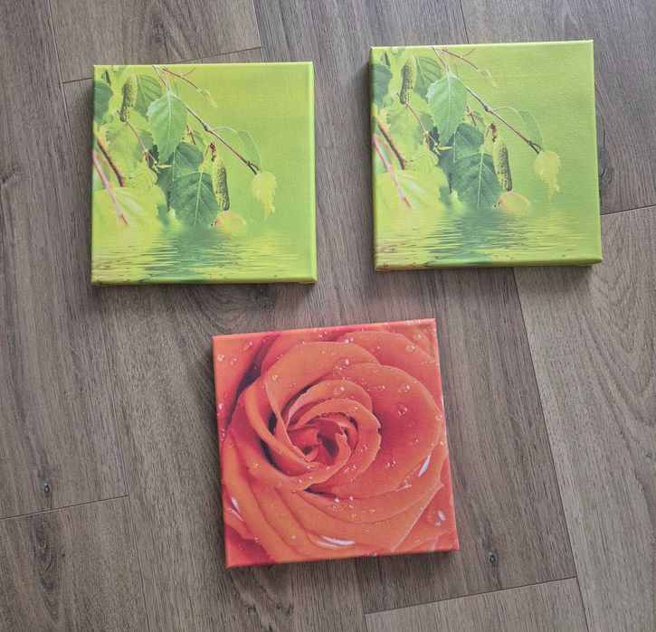 Trzy obrazy 20x20cm
