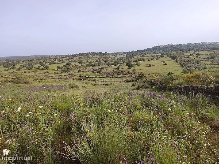 Terreno rústico 16.6ha Montalvão, Nisa