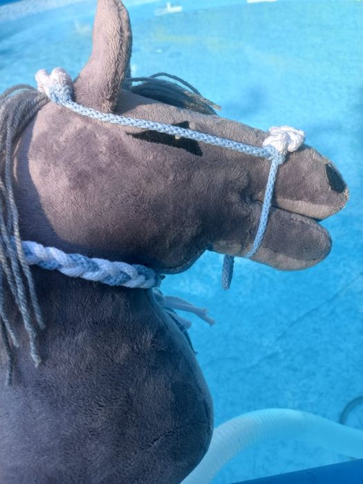 Box hobby horse+ niespodzianka