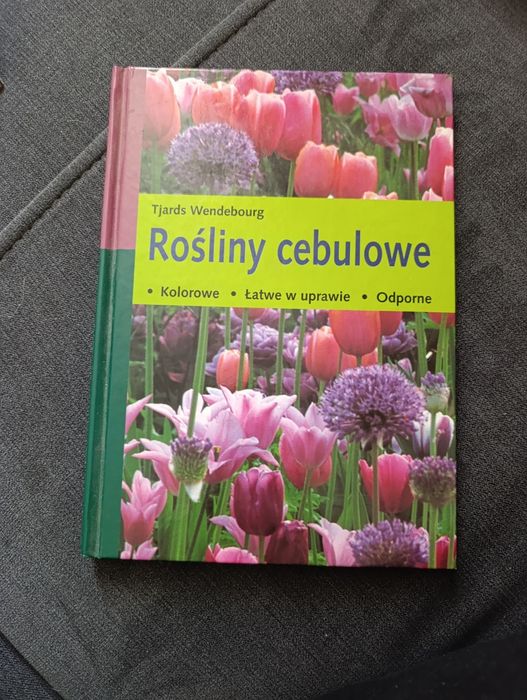 Rośliny cebulowe