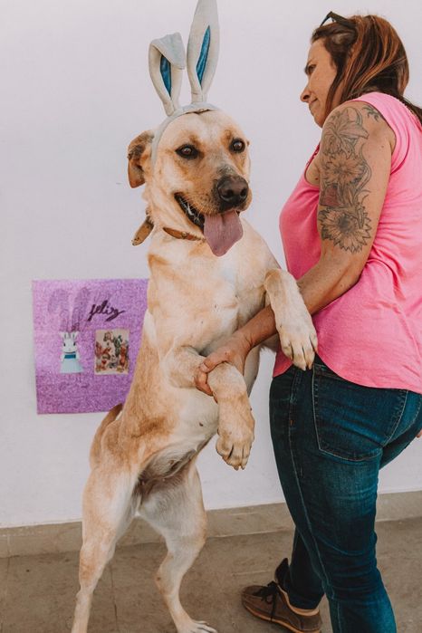 Menina mel , sou linda e grande e super amiga