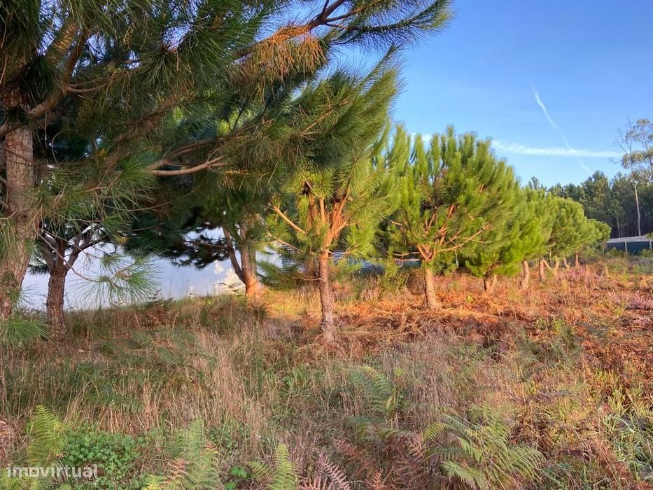 Terreno rustico / Lameira / Ortigosa