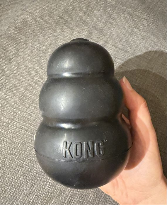 Kong extreme XL dla psa - bdb stan