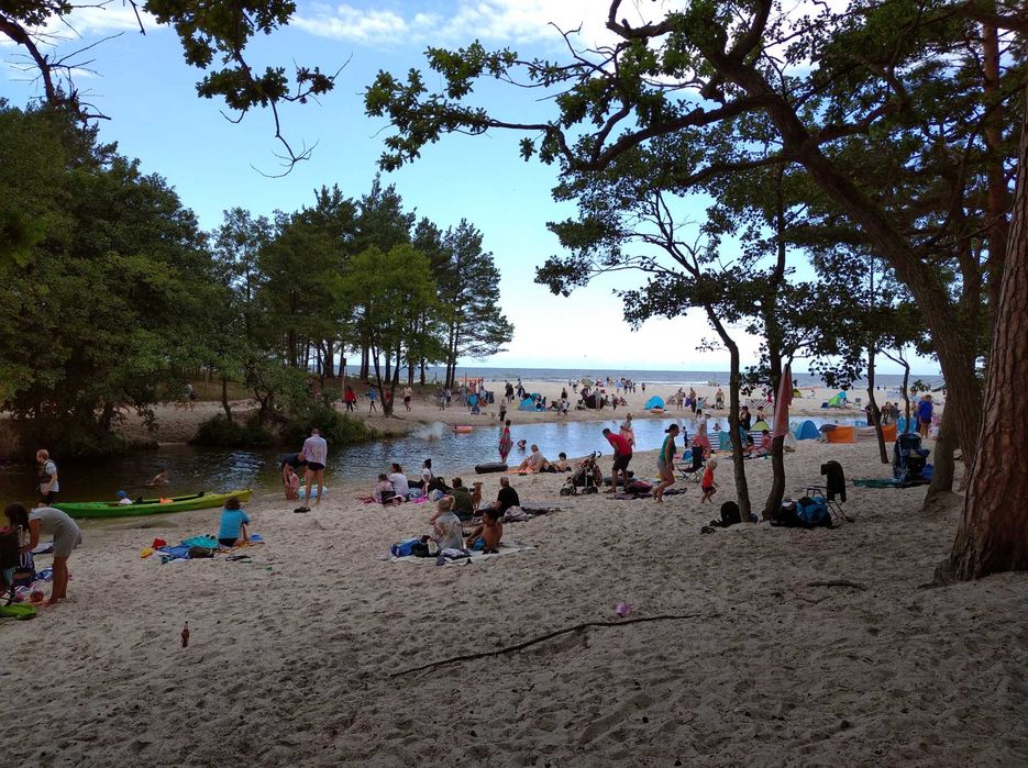 DOMEK DĘBKI - WOLNY nocleg, domki, apartament (Karwia)