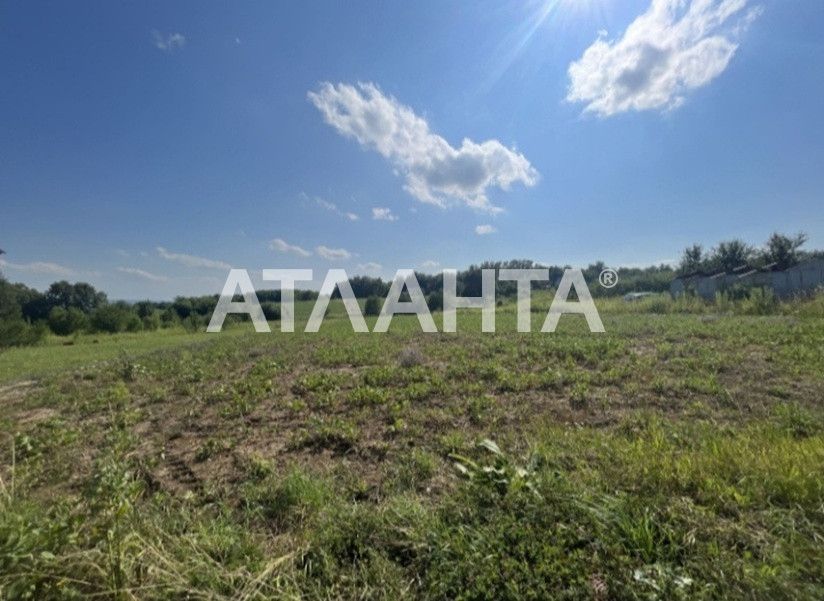 Земля, 63 сот, Михальча