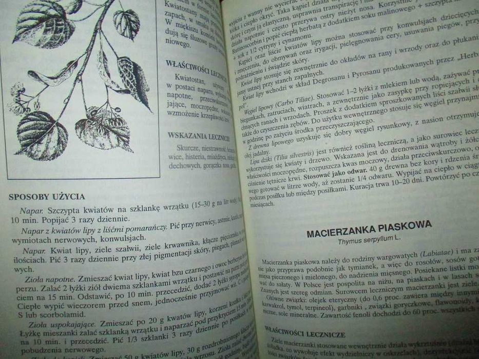 Apteka natury - Poradnik zdrowia - Górnicka/porady/medycyna naturalna