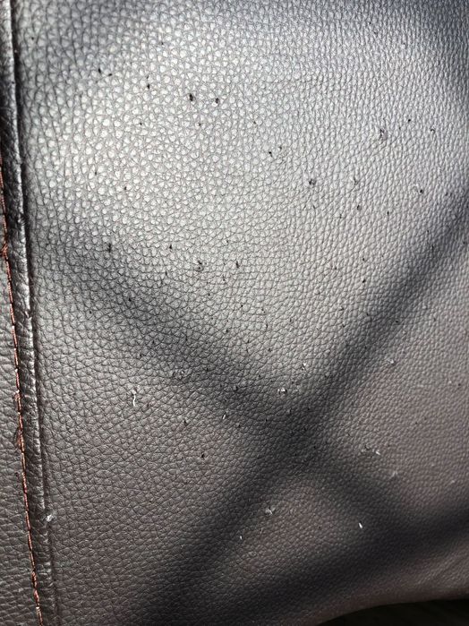 Cadeirão Repouso Relaxamento