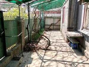 Продається половина приватного будинка в Одесі по вулиці Бахмутська, 69. - More