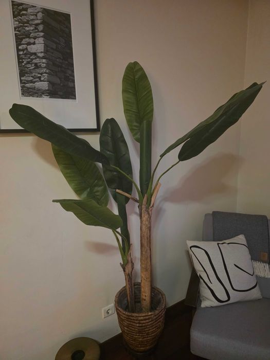 Planta artificial 150cm