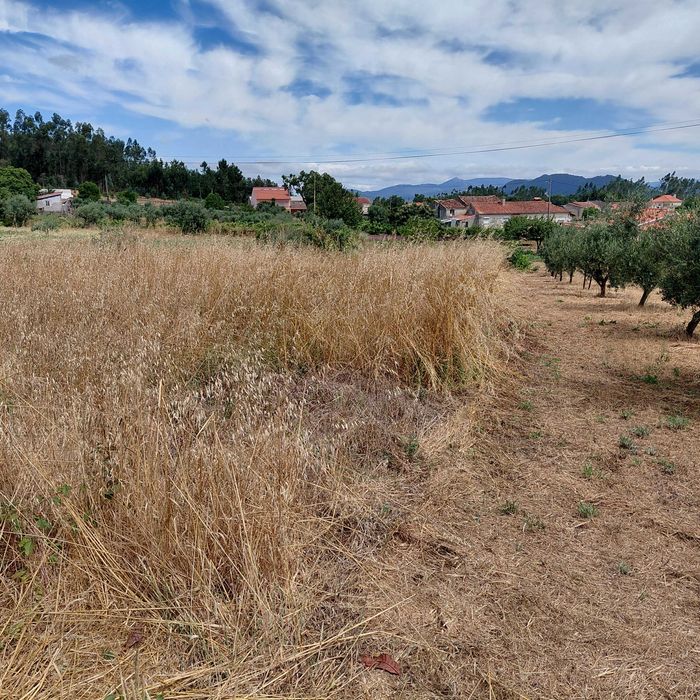 Terreno com casa ruinas. Arega