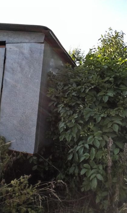 Бджолопавільйон на корпусні вулики