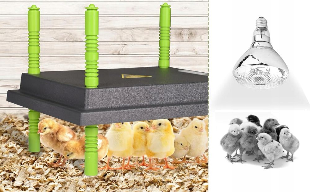 Płyta grzewcza do hodowli piskląt, 25 x 30 cm