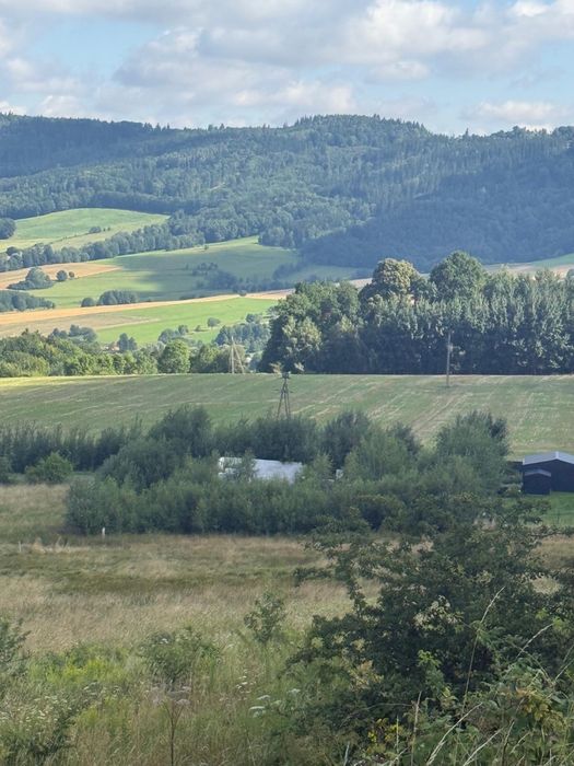 Jeżow Sudecki dzialka na sprzedaż