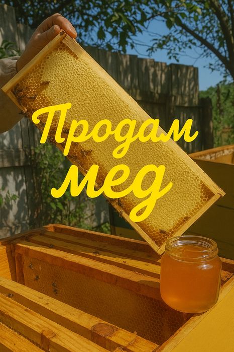 Продам мед з соняшника