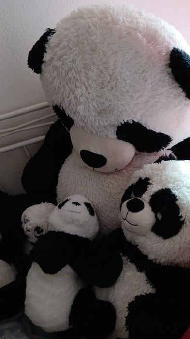 Lindos Pandas  de pelúcias