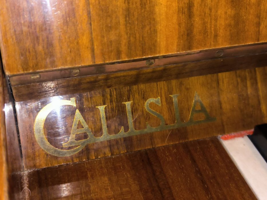 Pianino Calisia M-105 Łódź