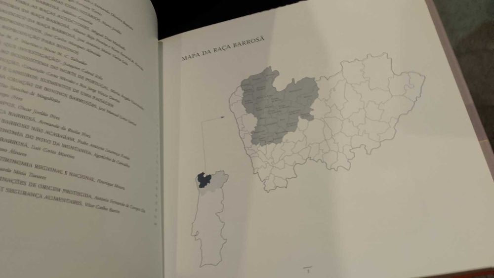 Raça Barrosã "AMIBA"