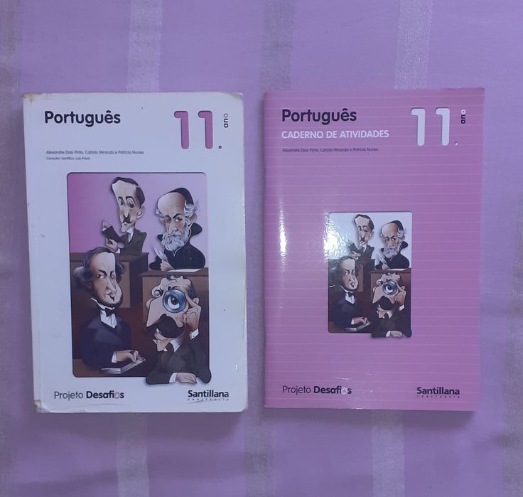 Manuais/Livros Escolares 11° Ano