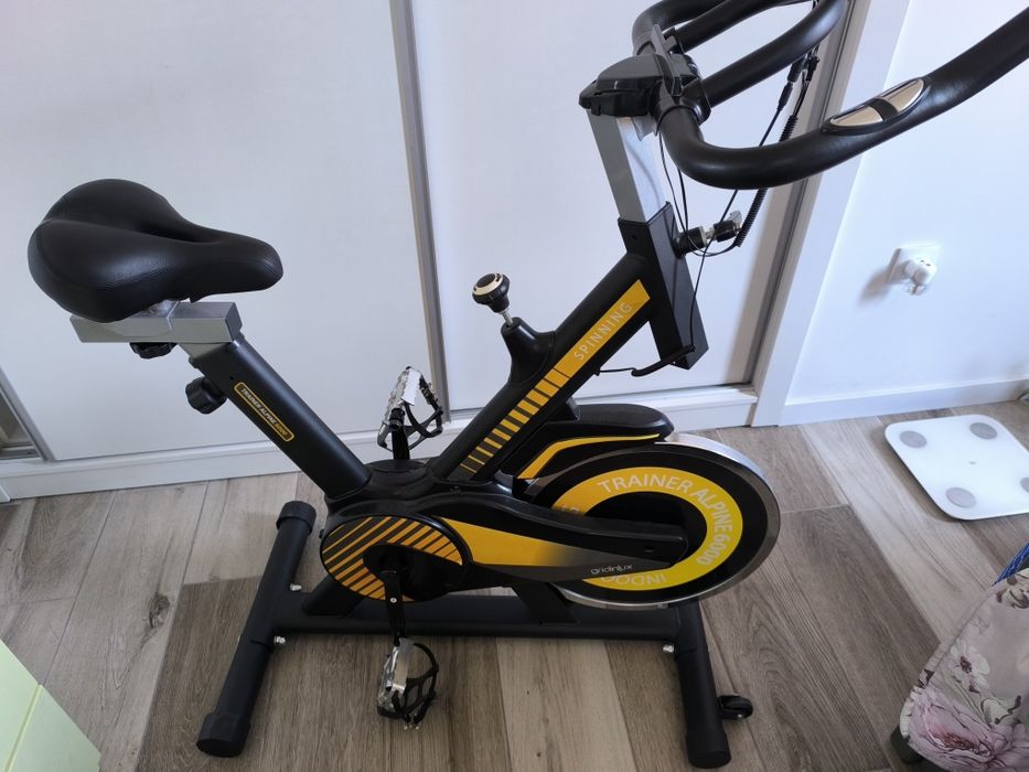 Trainer Alpine 6000