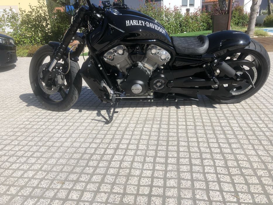 Harley Davison Vrood Muscle