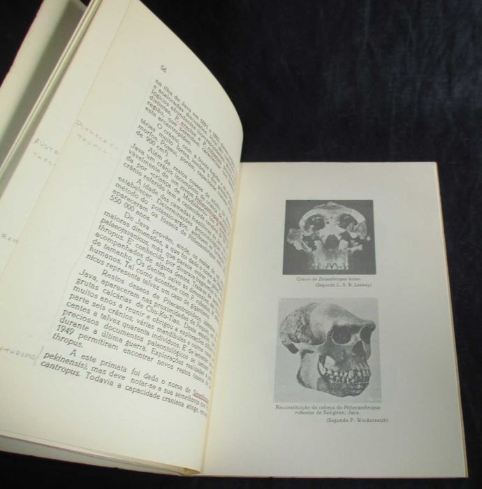 Book: Paleontology and the Origin of Man by Carlos Teixeira, 196364298019275907124