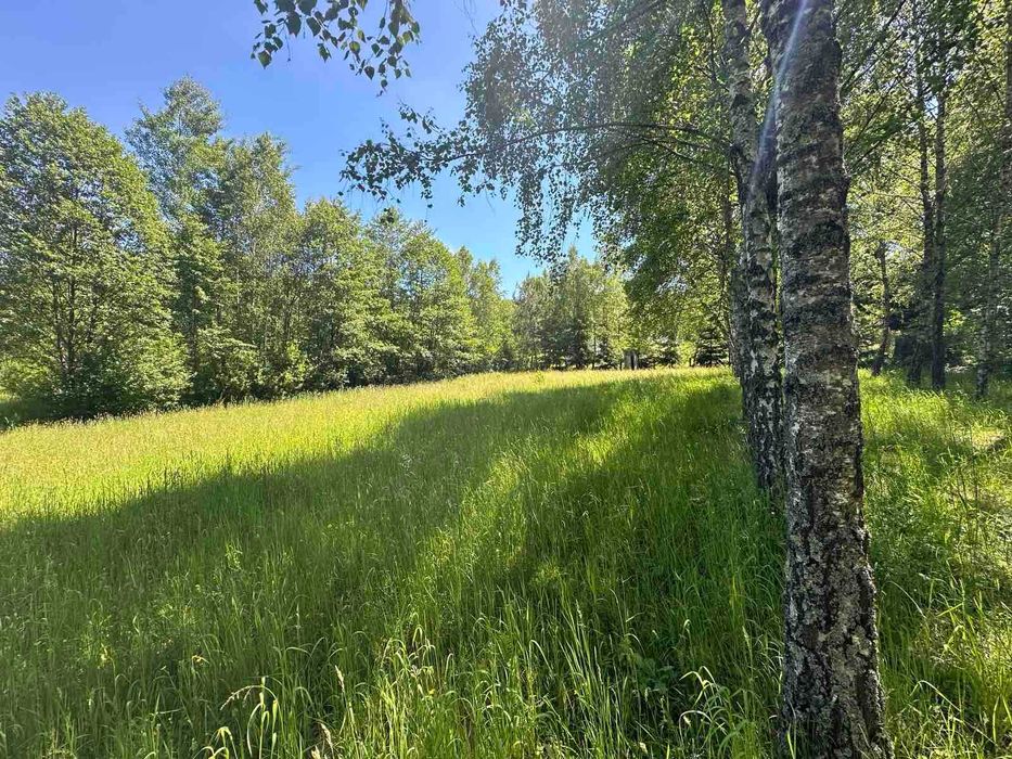 Продається земельна ділянка в с. Ракош