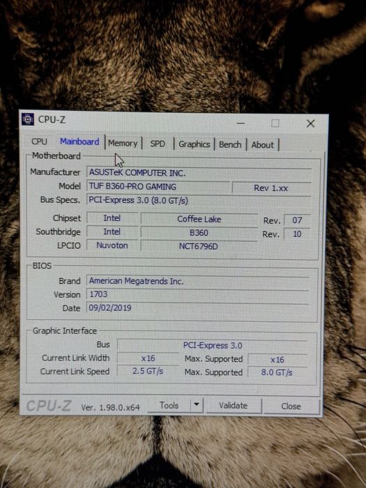 PC Gaming RTX GeForce 1660