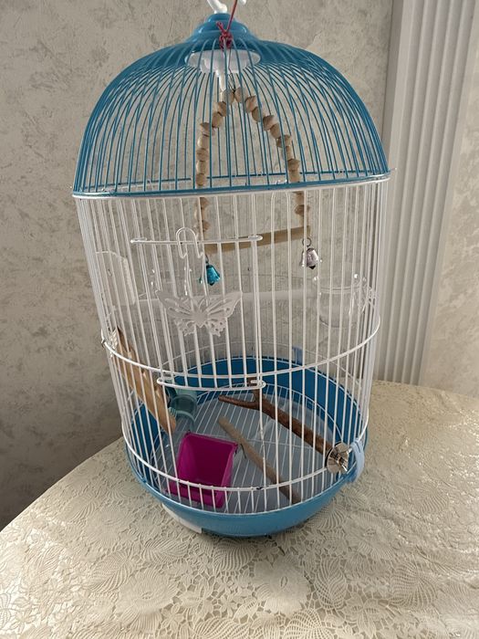 Клітка для папуги
