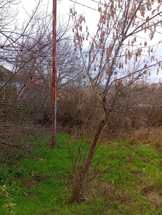 Був будинок ,а зараз розвалена