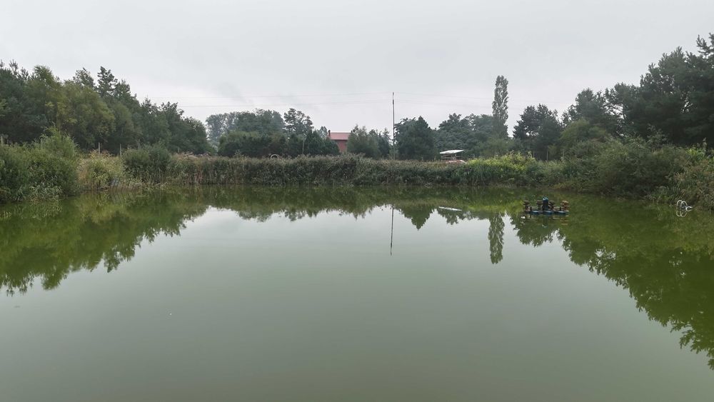 inwestycyjna działka ze stawem