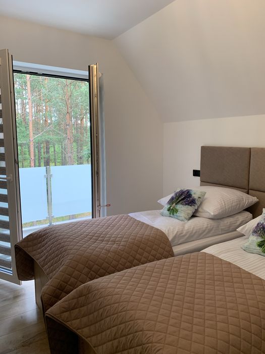 Wynajem domków w lesie, Roztocze, Zwierzyniec, JACUZZI, SAUNA, SPA