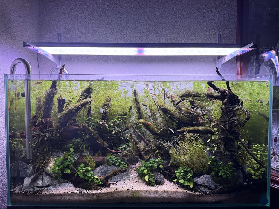 Aquario 80x40x40