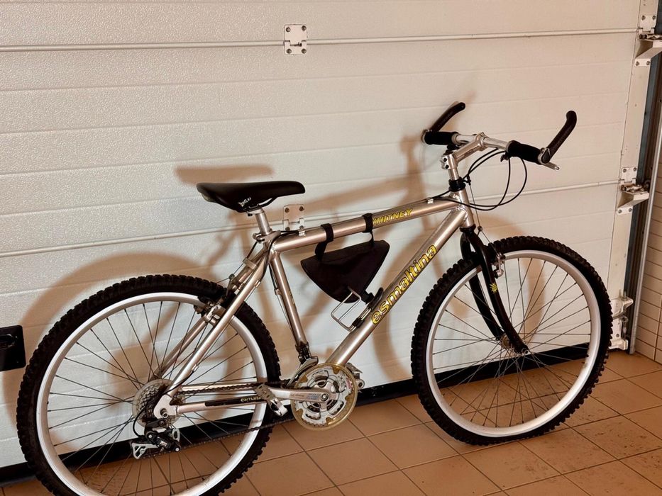 Bicicleta montanha Esmaltina aluminio