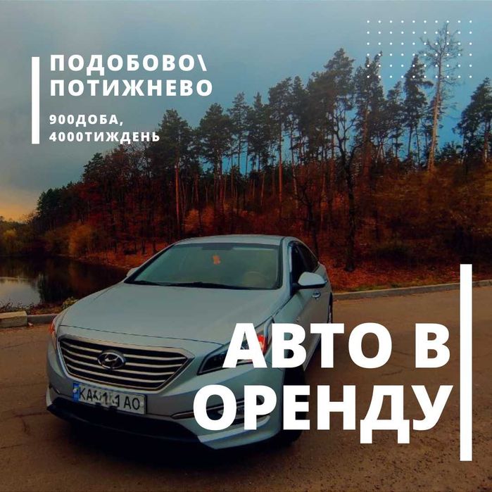 Оренда авто, недорого, бізнес аренда прокат