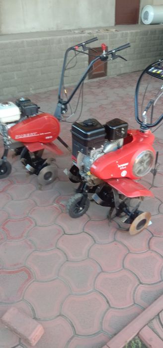 Продам два мотоблока Пуберт .