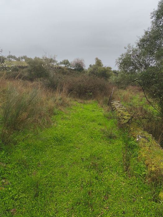 Terreno rústico em Moncorvo